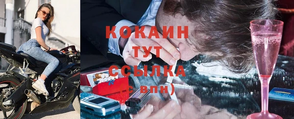 гидра Арсеньев