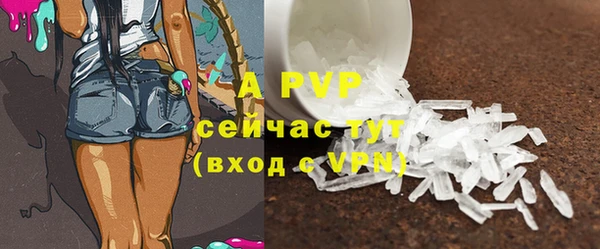 гидра Арсеньев